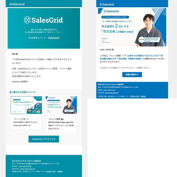 SalesGridメルマガ会員へ送付されるメルマガ例。