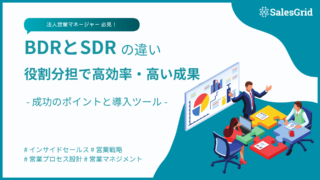 BDRとSDRの違い｜インサイドセールスの中での位置づけや役割を徹底解説
